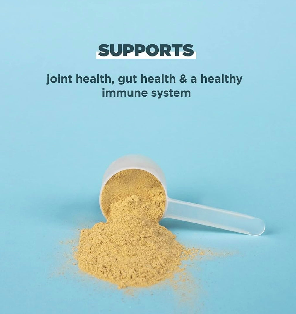 Ancient Nutrition Bone Broth Protein Powder, Pure Flavor, 40 Servings Size, 31.4 Ounce